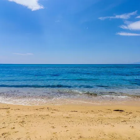Calma Luxury #5 In Halkidiki * 소조폴리